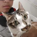 rakuza_hardes