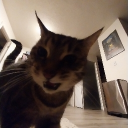 avatar The Sauce Boss