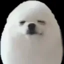 removegg
