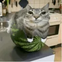 crazypusheen