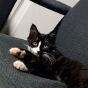 View _meerick's Profile