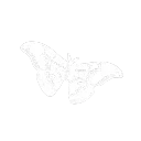 surrealm