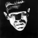 vampirebatt