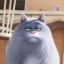 mr.mg