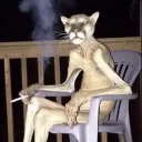 zapflame avatar