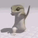 datpanmanda