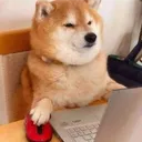 mgldev