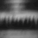 dysentinel