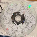 avatar 𝔡𝔤 𝔠𝔦𝔱𝔢𝔢