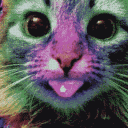 avatar ketᶻ 𝗓 𐰁 .ᐟ