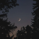 avatar 𝙁𝘼𝙔𝙏𝙀 💫