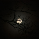 avatar 𝙁𝘼𝙔𝙏𝙀  ☄️