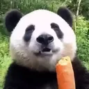 j1mxyy