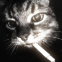 avatar westarctica663