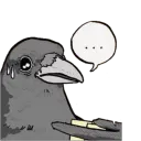 nsensfel