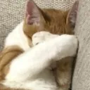 mochinumochi