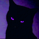 zortak
