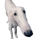 cubegamer3 avatar
