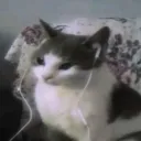 rybiarz_pvp1