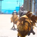 crunchychocobo