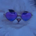 1tzm1lk