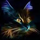 darth_meow_504