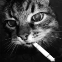 noizenjoyer