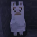 tenf