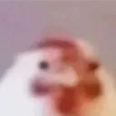 der_kaya