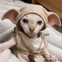 avatar มาลิ๊ ปุ๊ป๊ะ ʕっ•ᴥ•ʔっ