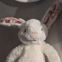 clementineslices