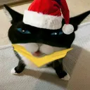 мαƒσѕσ's Avatar