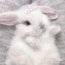 here4you