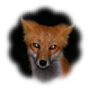 avatar 𐂯 .ᐟ⸝⸝