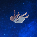 avatar Chesed