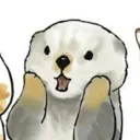 coopy.poopy