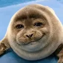 pipzul