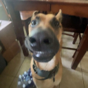 desperate_archimedes267235 member profile picture