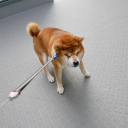 jerrold.#7119's avatar