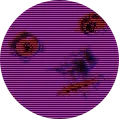 bork0038