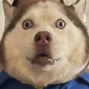 thiccy_rat
