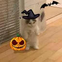 onespookygoose