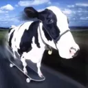 charpone