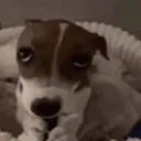 hsntp7