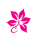 avatar εʟcαρıтαпσ