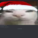 shnelyashnelyaeshkereeeee