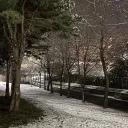 abumajed_013