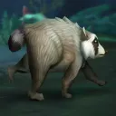 sheywilliam
