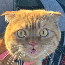 avatar nhung