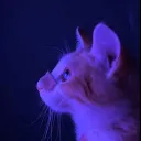artzy's Avatar
